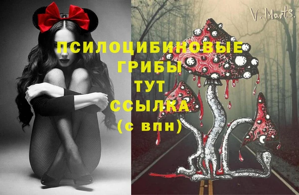 мяу мяу мука Дмитриев