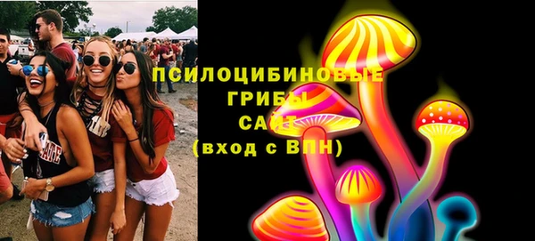 мяу мяу мука Дмитриев